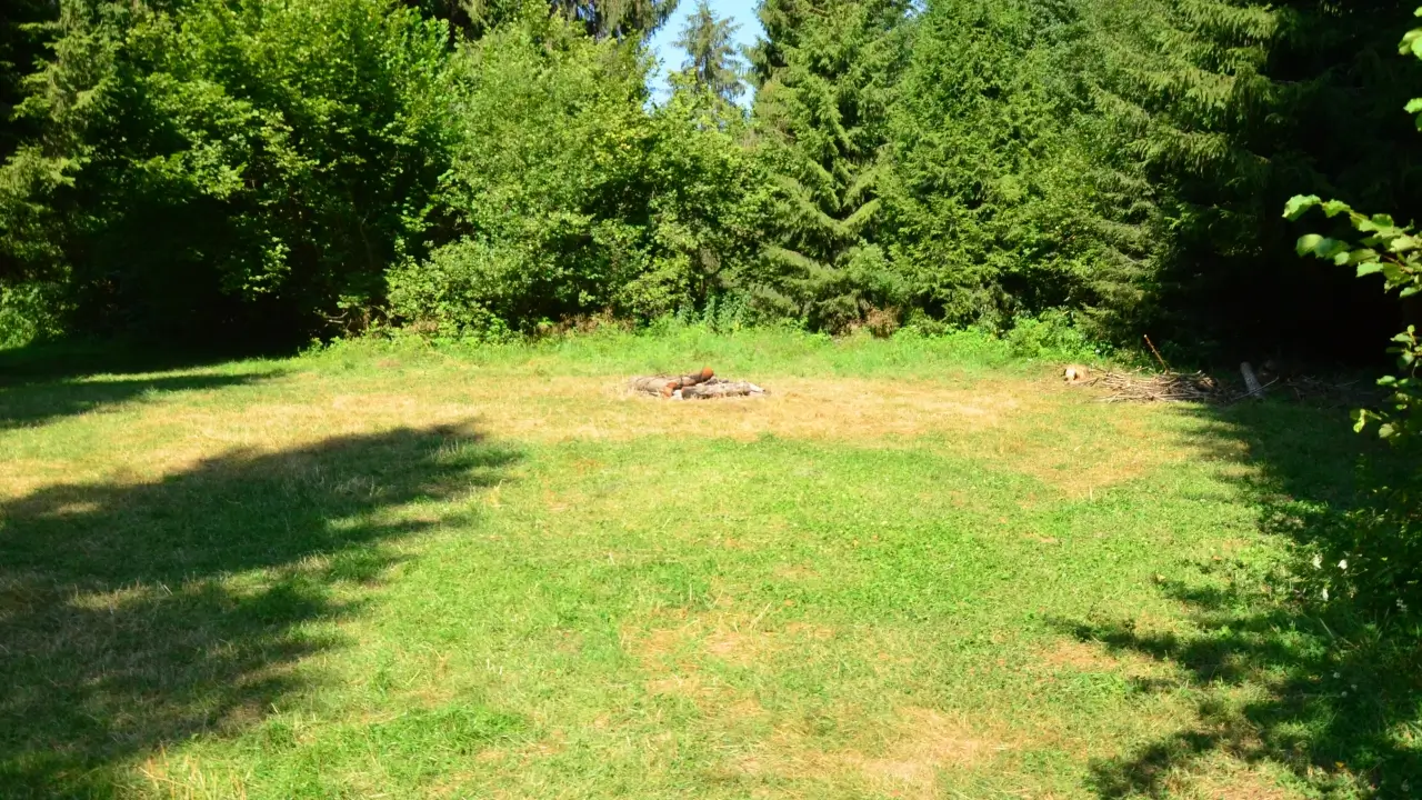 Stanica DWERNICZEK - krąg ogniskowy