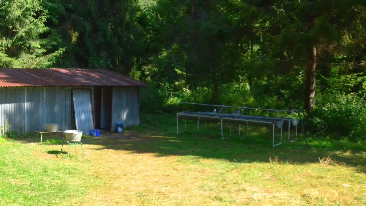 Stanica DWERNICZEK - łazienka