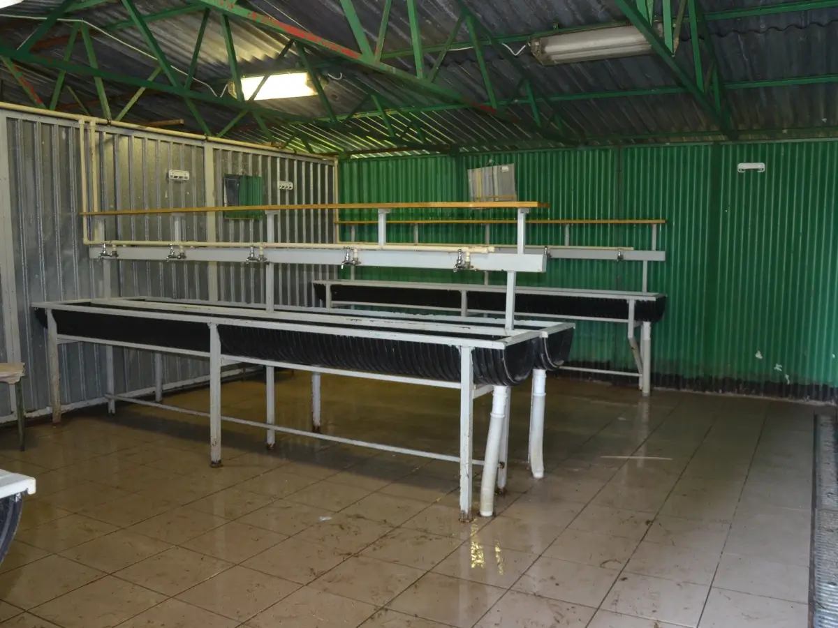 Stanica DWERNICZEK - łazienka wewnątrz